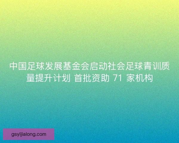 中国足球发展基金会启动社会足球青训质量提升计划 首批资助 71 家机构