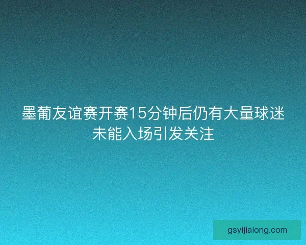 墨葡友谊赛开赛15分钟后仍有大量球迷未能入场引发关注