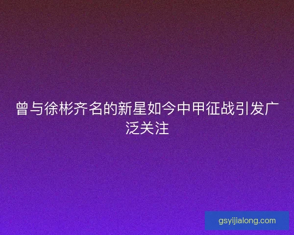 曾与徐彬齐名的新星如今中甲征战引发广泛关注