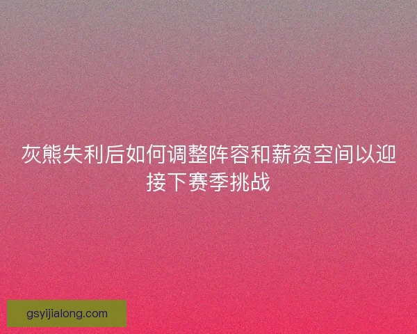 灰熊失利后如何调整阵容和薪资空间以迎接下赛季挑战