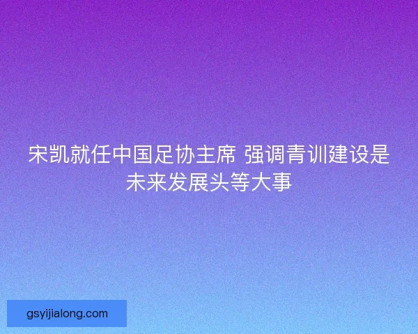 宋凯就任中国足协主席 强调青训建设是未来发展头等大事