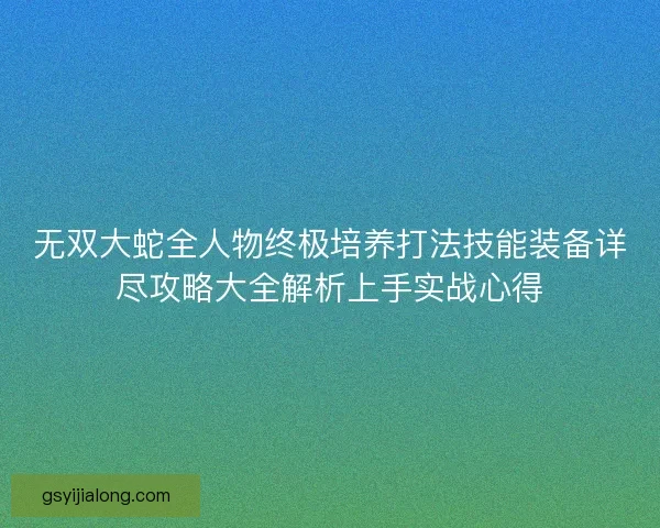 无双大蛇全人物终极培养打法技能装备详尽攻略大全解析上手实战心得 无双大蛇全人物终极培养打法技能装备详尽攻略大全解析上手实战心得