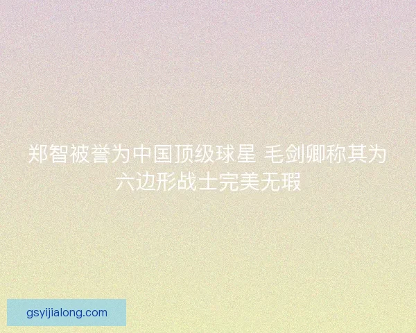 郑智被誉为中国顶级球星 毛剑卿称其为六边形战士完美无瑕