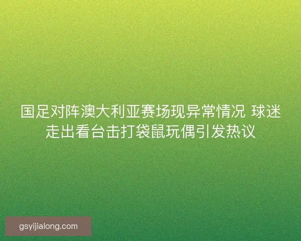 国足对阵澳大利亚赛场现异常情况 球迷走出看台击打袋鼠玩偶引发热议