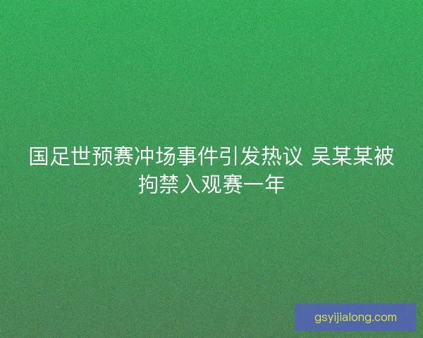 国足世预赛冲场事件引发热议 吴某某被拘禁入观赛一年