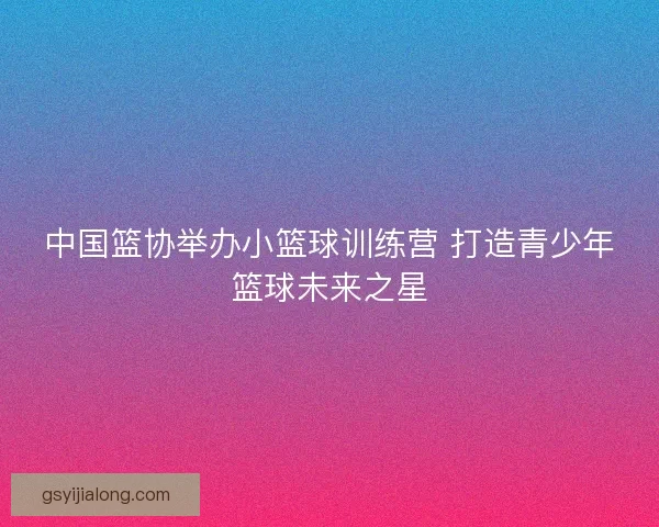 中国篮协举办小篮球训练营 打造青少年篮球未来之星